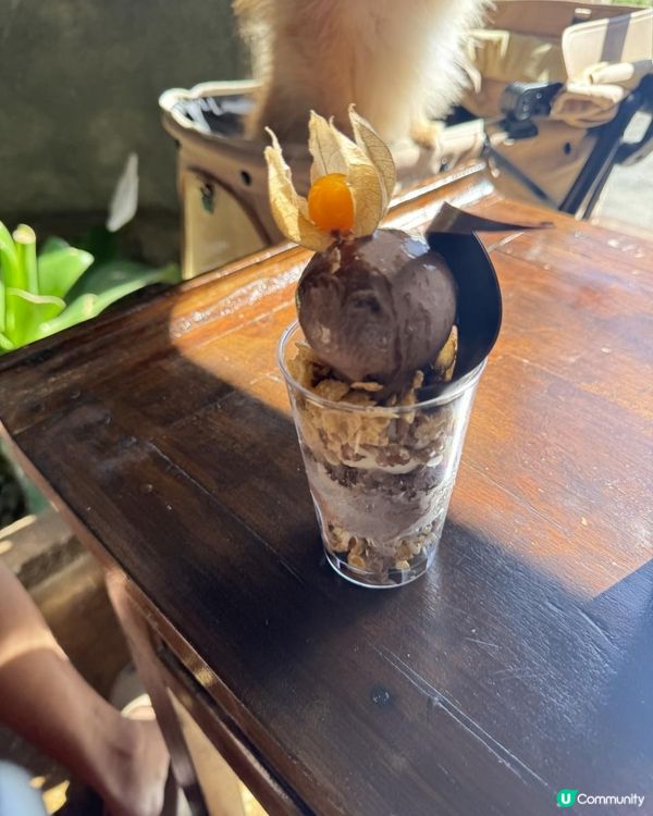 墾丁美人魚冰淇淋