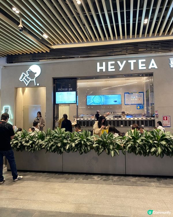 《喜茶x草間彌生》超多肉芒芒甘露