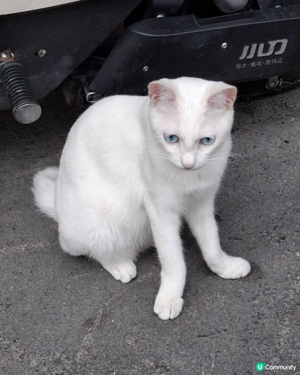 快閃一遊（潮州)