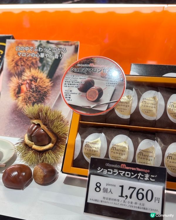 🇯🇵日本成田機場免稅店伴手禮推薦