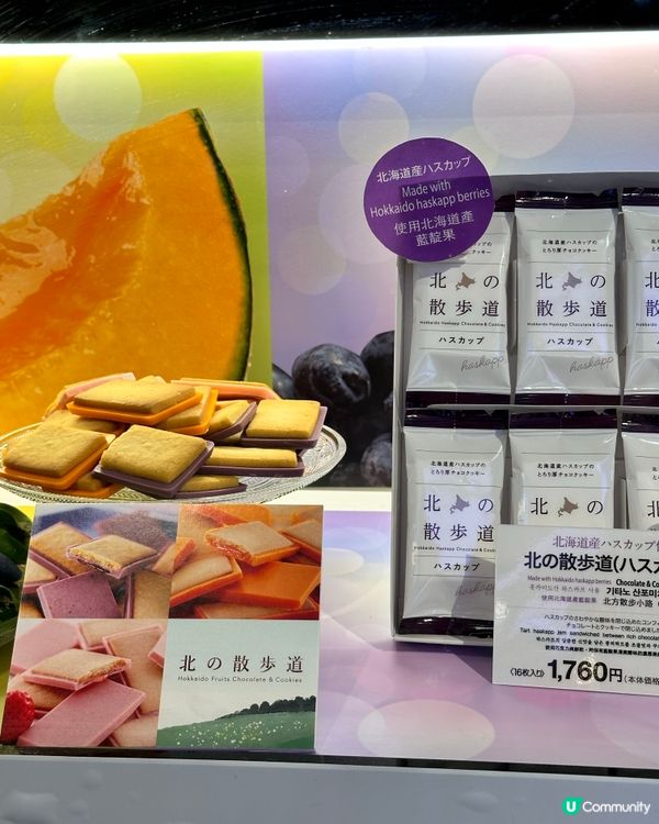 🇯🇵日本成田機場免稅店伴手禮推薦