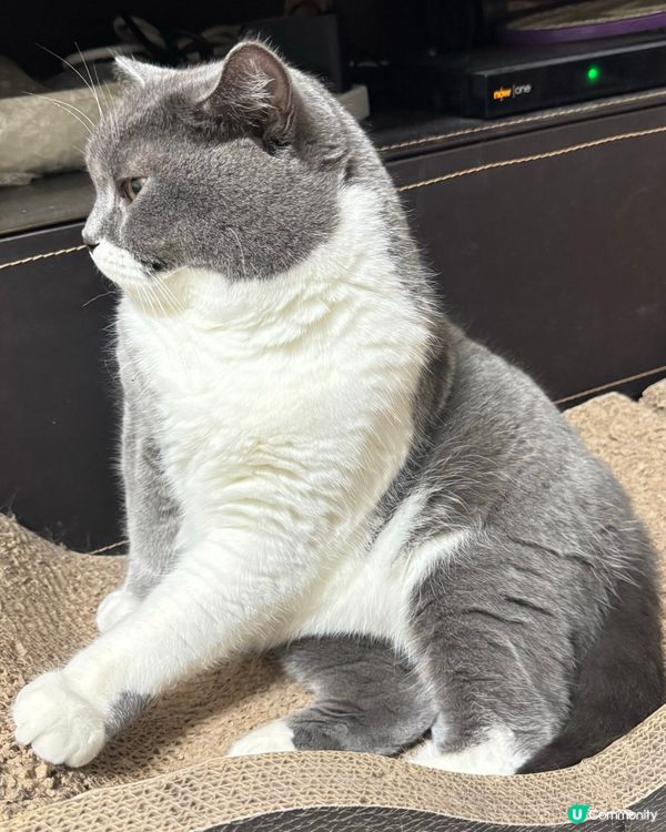 啊⋯⋯⋯好眼瞓呀！邊個發明返工㗎🥱🥱🥱