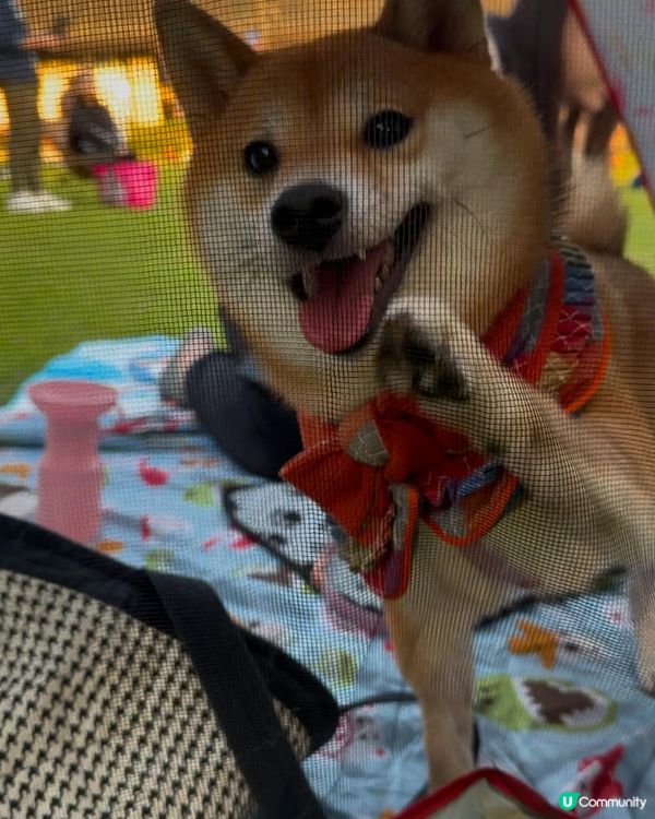 宜家天氣最岩去野餐🧺