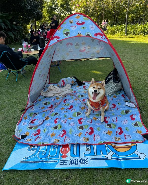 宜家天氣最岩去野餐🧺
