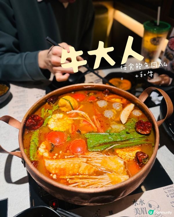 台式任食火鍋領頭牛🍲