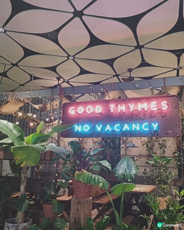 深圳龍崗坂田萬科廣場之旅🤩