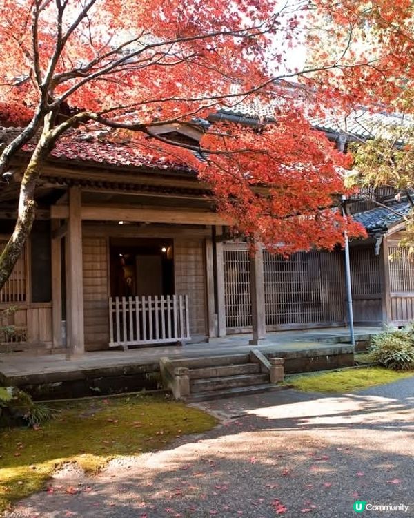 新潟紅葉打卡點🍂 中野邸美術館