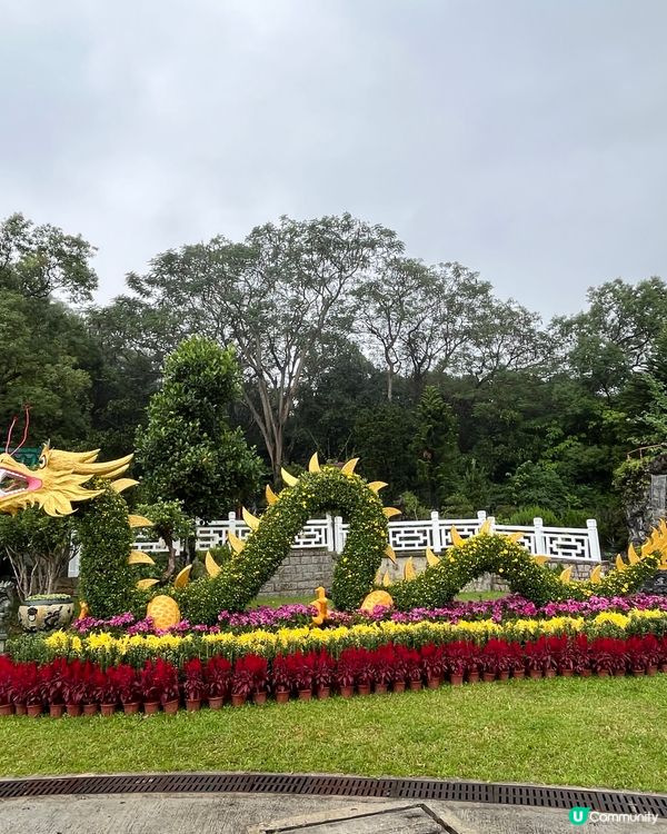 雲泉仙館 #打卡美食#相機食先#香港美食#港玩港食#生活足跡