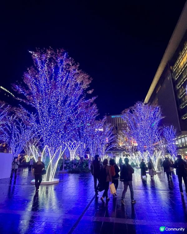 🇯🇵日本福岡博多聖誕裝疊🎄亮燈💡