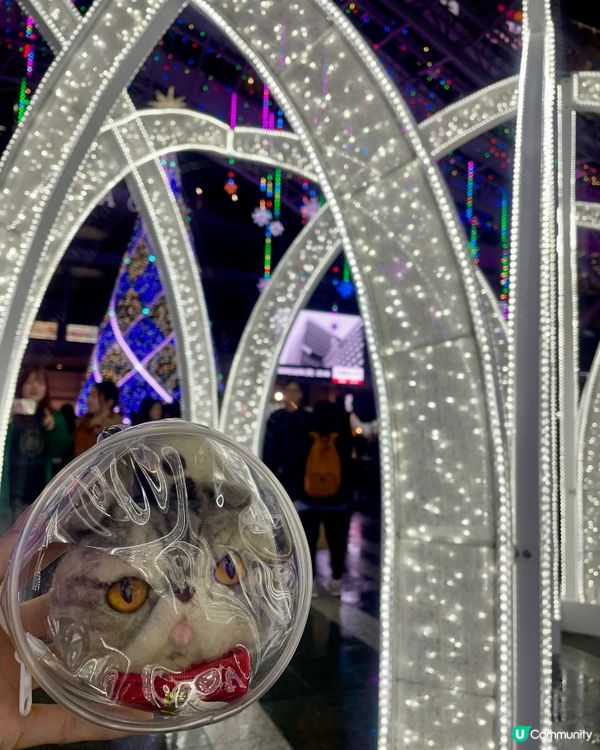 🇯🇵日本福岡博多聖誕裝疊🎄亮燈💡