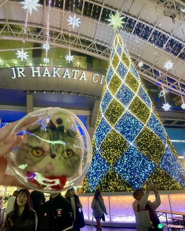 🇯🇵日本福岡博多聖誕裝疊🎄亮燈💡