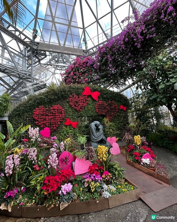 神戶布引香草園💕 搭乘空中纜車。欣賞神戶美景 ♨️ 泡香草足湯