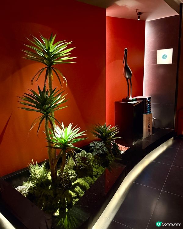 深圳按摩✨ 鶴祥宮🪭