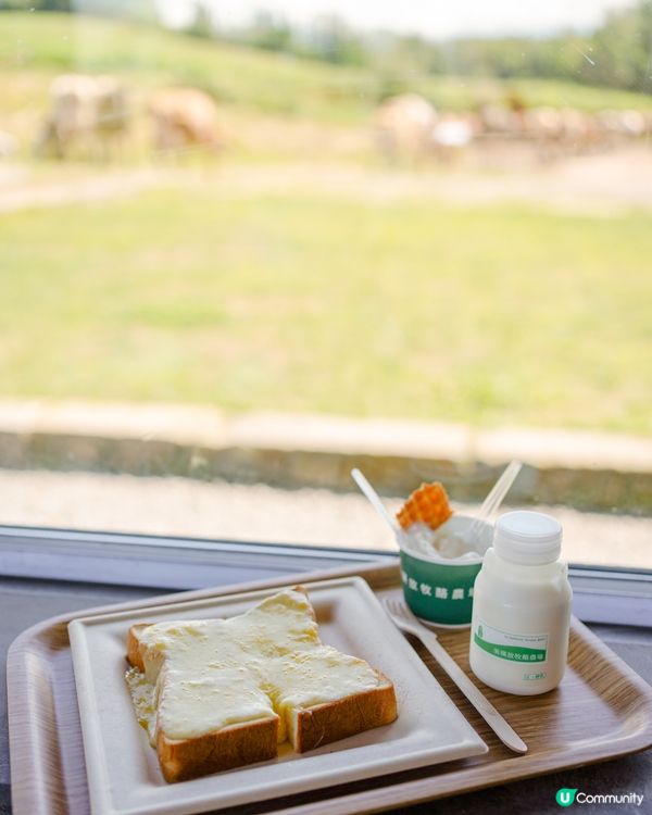 🇯🇵北海道美瑛放牧酪農場