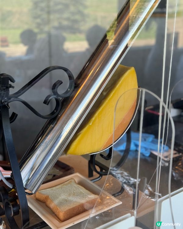 🇯🇵北海道美瑛放牧酪農場