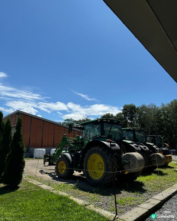 🇯🇵北海道美瑛放牧酪農場