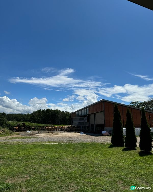 🇯🇵北海道美瑛放牧酪農場