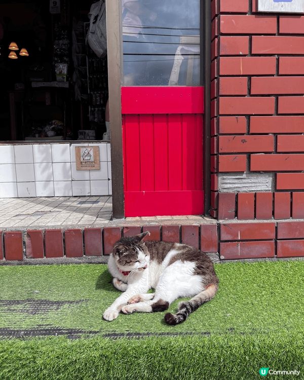 釜山影島，一嘗被海包圍既感覺。無論係散步，餐廳食飯都係對住無...
