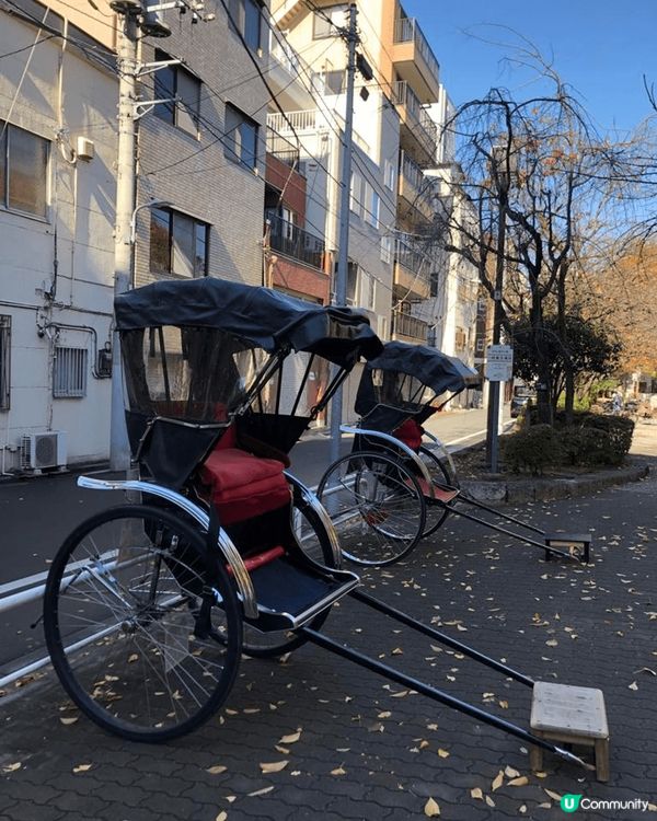 #我想逆轉齡，水果美膚潤澤，粥品豆漿燕麥奶，營養美顏，蛋白鐵...