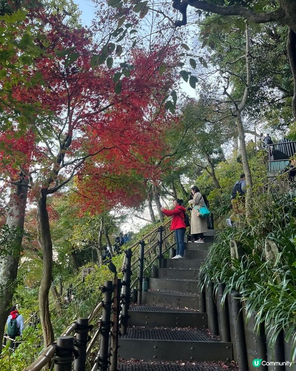 東京近郊鐮倉一日遊 打卡景點及交通路線分享
