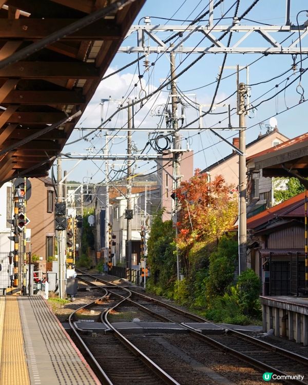 東京近郊鐮倉一日遊 打卡景點及交通路線分享
