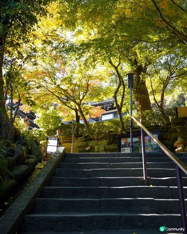東京近郊鐮倉一日遊 打卡景點及交通路線分享