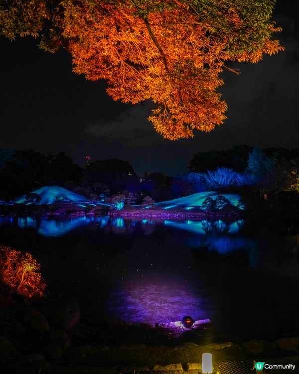 熊本｜水前寺成趣園夜間活動