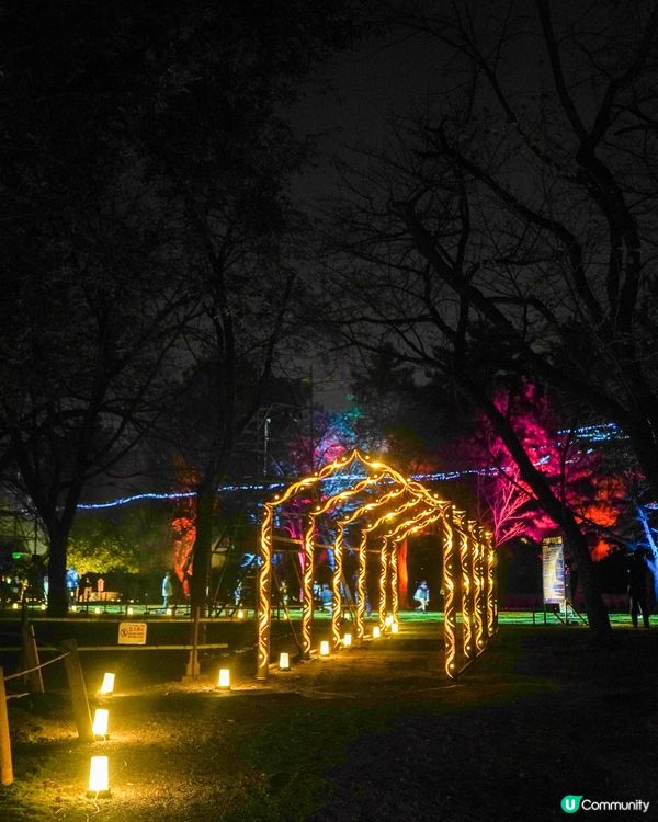 熊本｜水前寺成趣園夜間活動