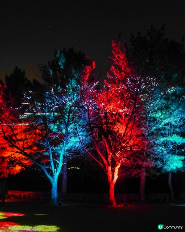 熊本｜水前寺成趣園夜間活動