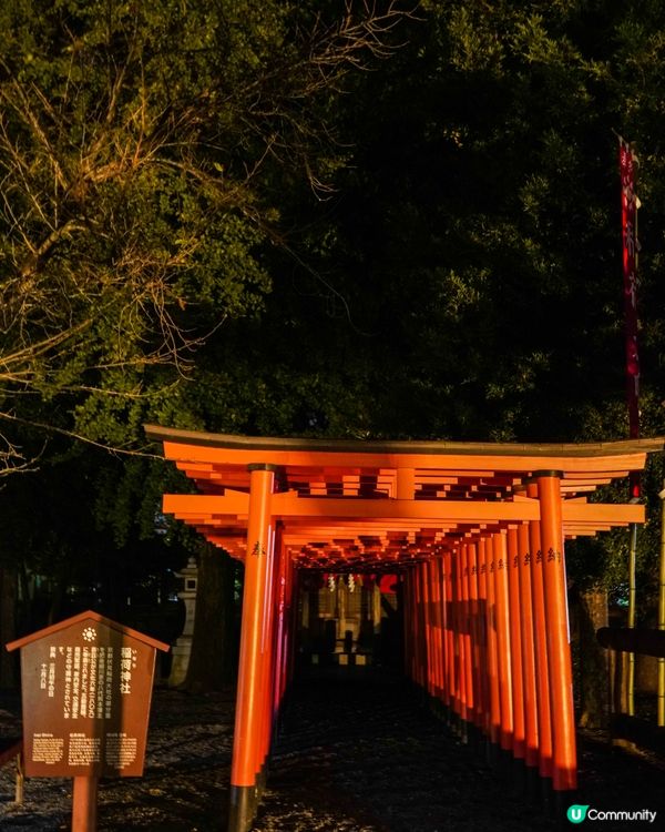 熊本｜水前寺成趣園夜間活動