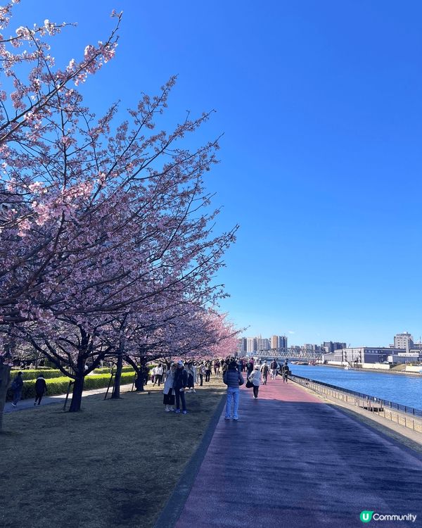 3月份東京河口湖之旅，雖然天氣很冷，但能看到這麼美的富士山是...