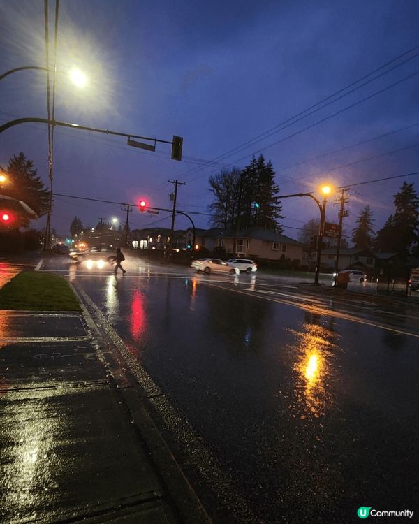 美麗的楓葉國，秋天的楓樹，飄散四周的紅色楓葉把街道染成了紅海...