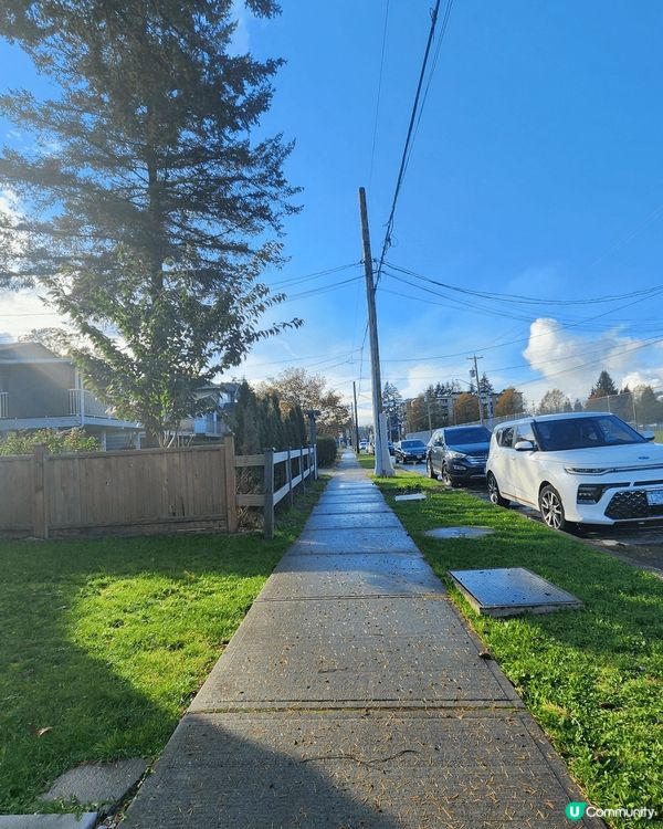 美麗的楓葉國，秋天的楓樹，飄散四周的紅色楓葉把街道染成了紅海...