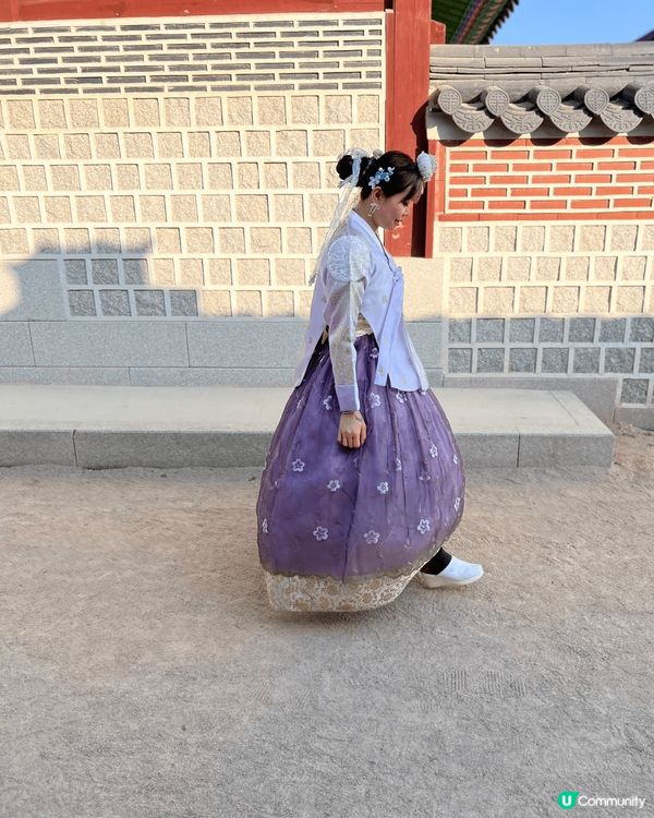 韓國之旅，仁川出海為海鷗喺新體驗，海鷗食唔到蝦條係會發脾氣㗎...