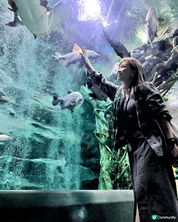 韓國之旅，仁川出海為海鷗喺新體驗，海鷗食唔到蝦條係會發脾氣㗎...