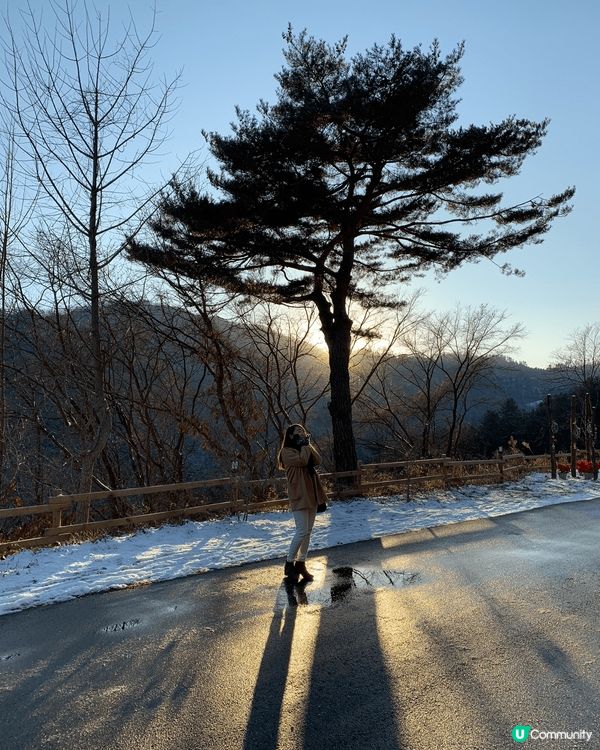 首爾滑雪+動物園之旅(12月時-6度去☃️❄️❄️)