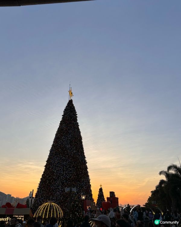 🇭🇰聖誕必去打卡點！🎄情侶閨蜜約會首選