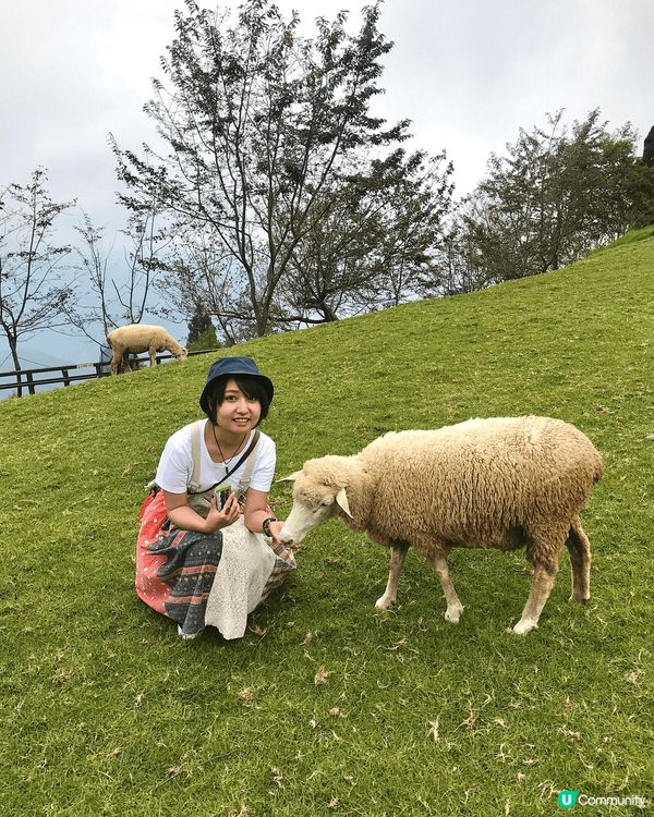 第一張是在九洲，去日本當然要穿和服在鳥居打卡。第二張是在台灣...