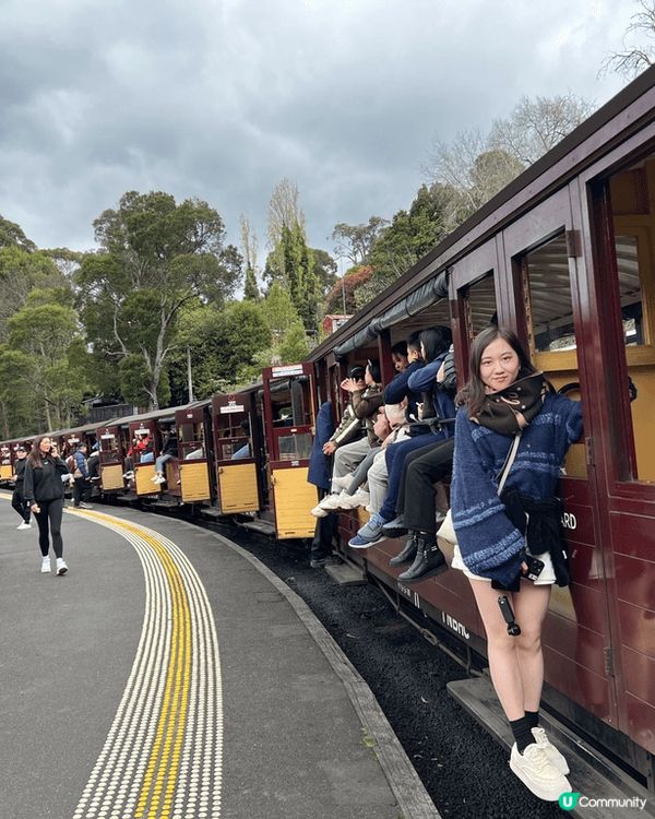 澳洲墨爾本必去打卡小火車，雙腳係可以伸出車外，秋天去非常之舒...