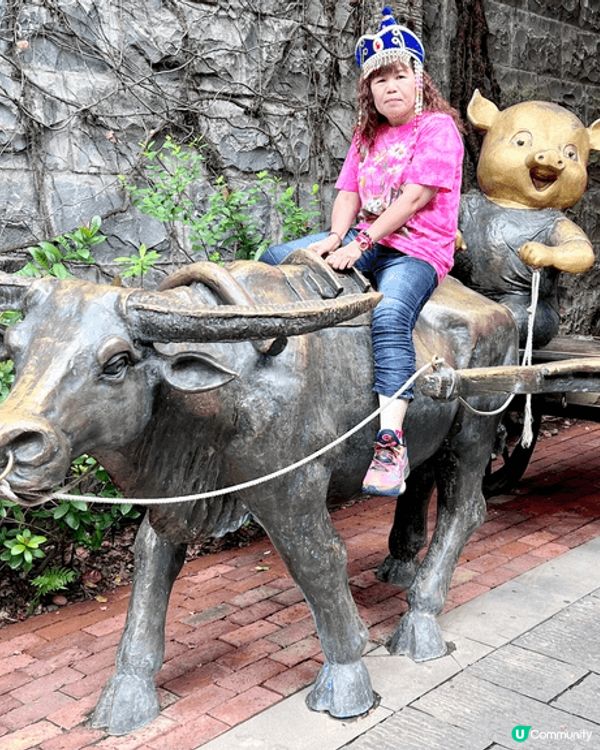 在這天朗氣清嘅日子遊湛江，風景怡人、景色優美，特別令人心曠神...