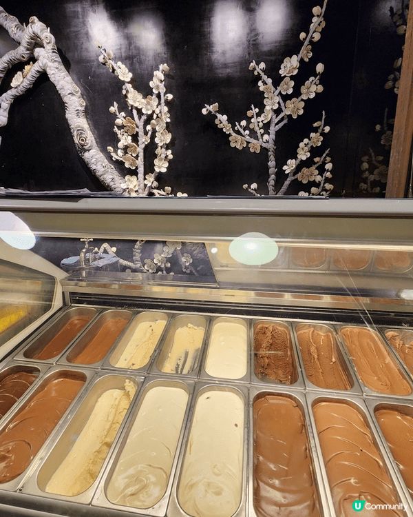 台中宮原眼科，買手信必到之點！超大推佢既日出鳳梨酥，個人認為...