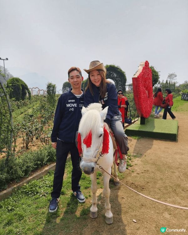 越南沙霸,需要從河內 坐六小時臥床巴士才能去到 ,雖然好辛苦...