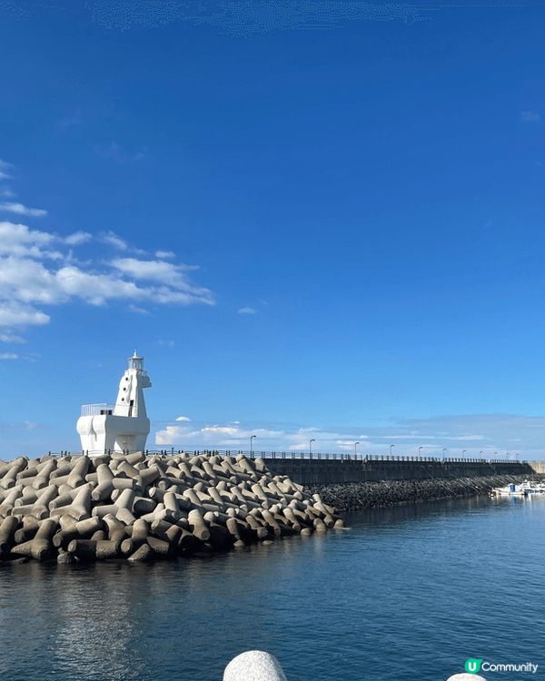 濟州之旅，有白色海邊小馬，彩色石壆，及雕像！打卡影相熱點，風...