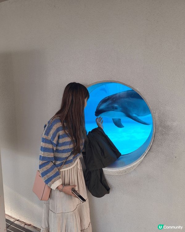 福岡海之中道，好值得去玩，動物園水族館都有，而且仲可以選擇宿...