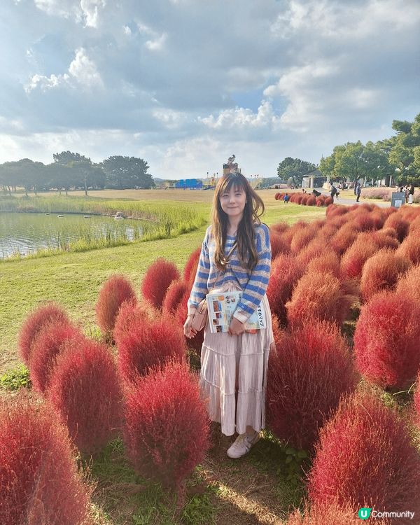 福岡海之中道，好值得去玩，動物園水族館都有，而且仲可以選擇宿...
