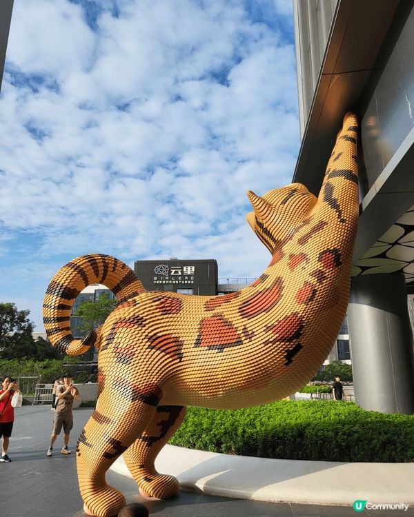 深圳新商場_ 坂田萬科