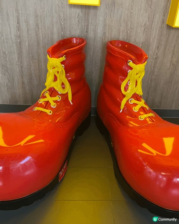 2024-11-17第71屆澳門格林披治大賽車賽🏁🏎️及澳門...