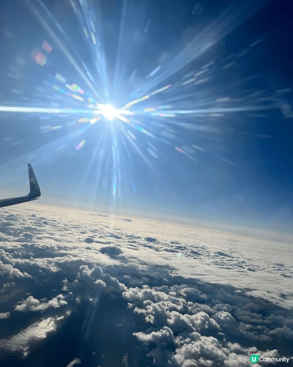 日本之行招財喵神社。是日本招財貓發源地之一的豪德寺，有上千隻...