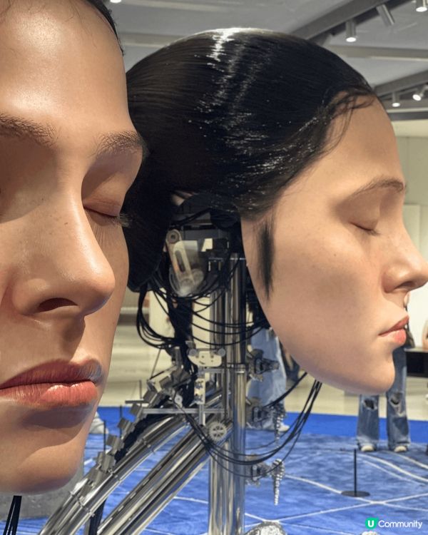 週末旅行放鬆，欣賞完香港維港夜色，之後在內地藝術展一日遊。