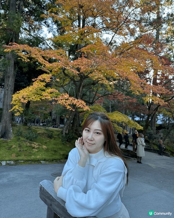 到京都欣賞紅葉，風景非常美麗